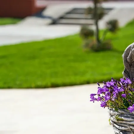 Valurile Marii Vama - Veche Vama Veche