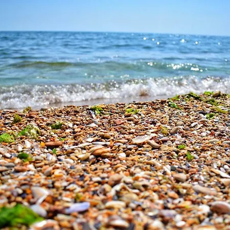 Valurile Marii Vama - Veche Pensionat