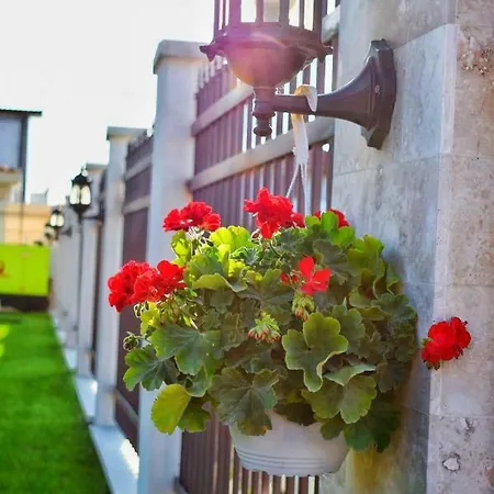 Valurile Marii Vama - Veche Pensionat 4*