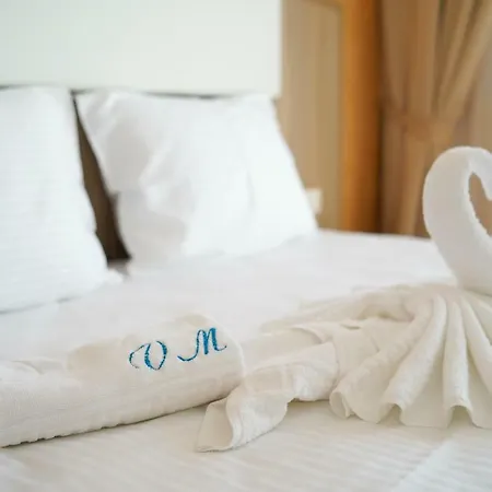 Gasthuis Valurile Marii Vama - Veche 4*