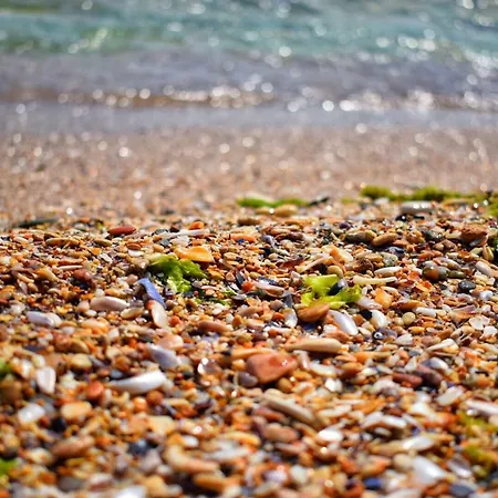 Valurile Marii Vama - Veche Affittacamere 4*